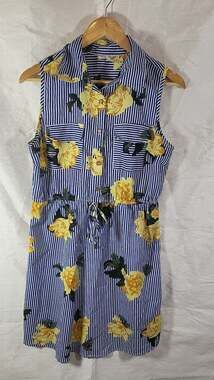 Cottagecore Speed Control New York Blue Striped Floral Sleeveless Button Down Dr